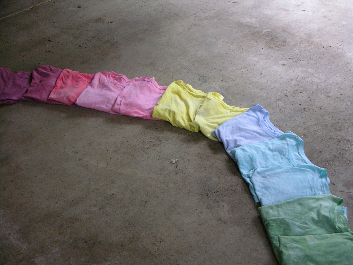 Image with text section